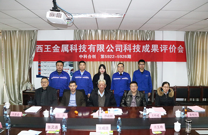 西王金属科技有限公司5个项目 anli.jpg